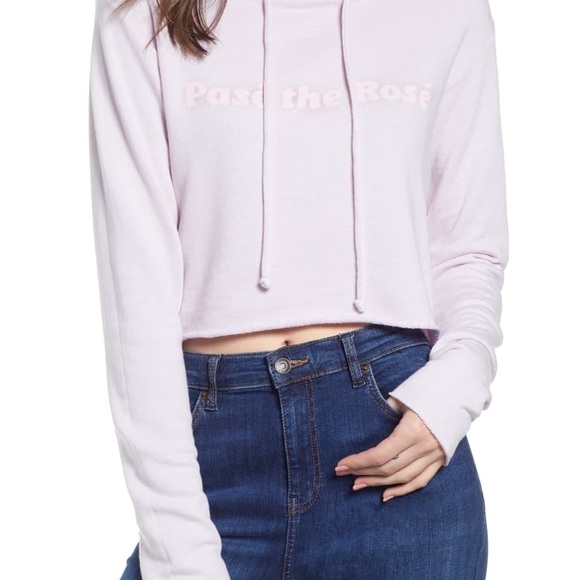 WildFox Pasé the Rosé Ivy Hoodie - Picture 5 of 8